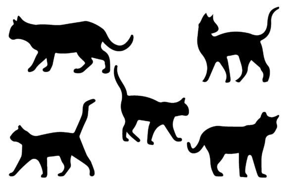 Cat Vector Bundle Review